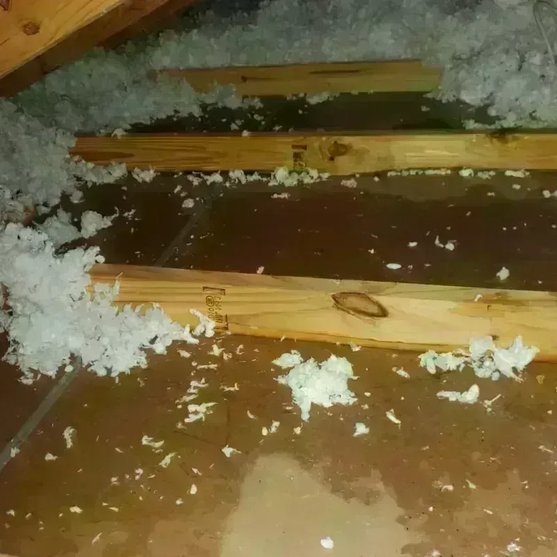 Attic Water Damage in Drew County, AR