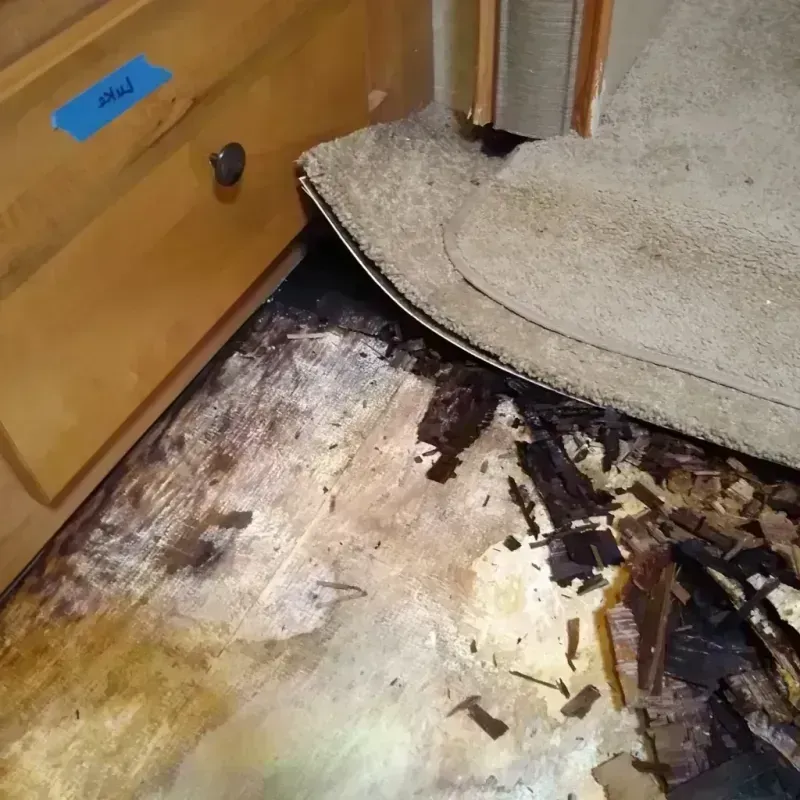 Wood Floor Water Damage in Drew County, AR